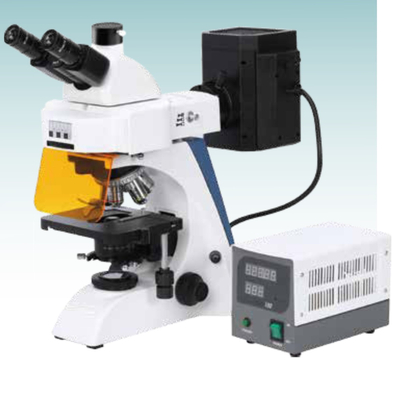 Microscópio biológico de fluorescência de venda imperdível (MT28161003)